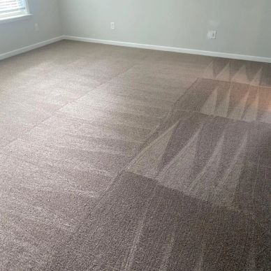 Carpet Cleaning